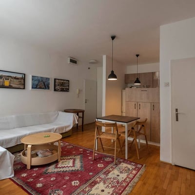 Miete einer gemütlichen 2-Zimmer-Wohnung, 45 m², Zentrum, Vračar, Belgrad, Serbien